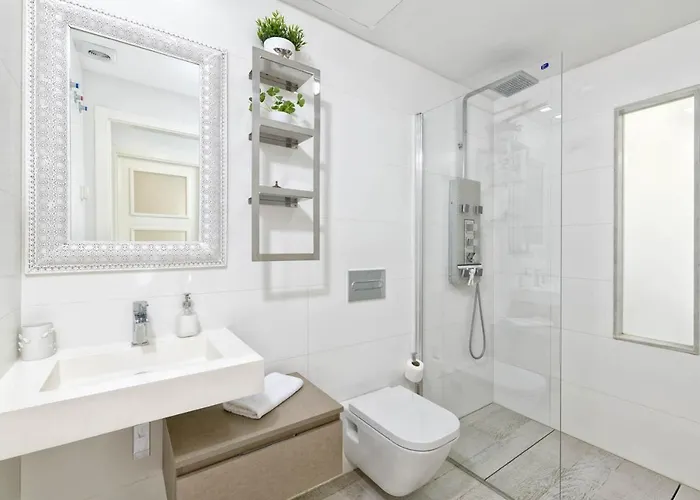 Apartment Noemi Centro Penthouse In By Solaga Homes Málaga